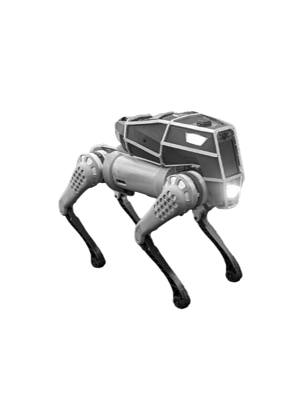 RADDOG